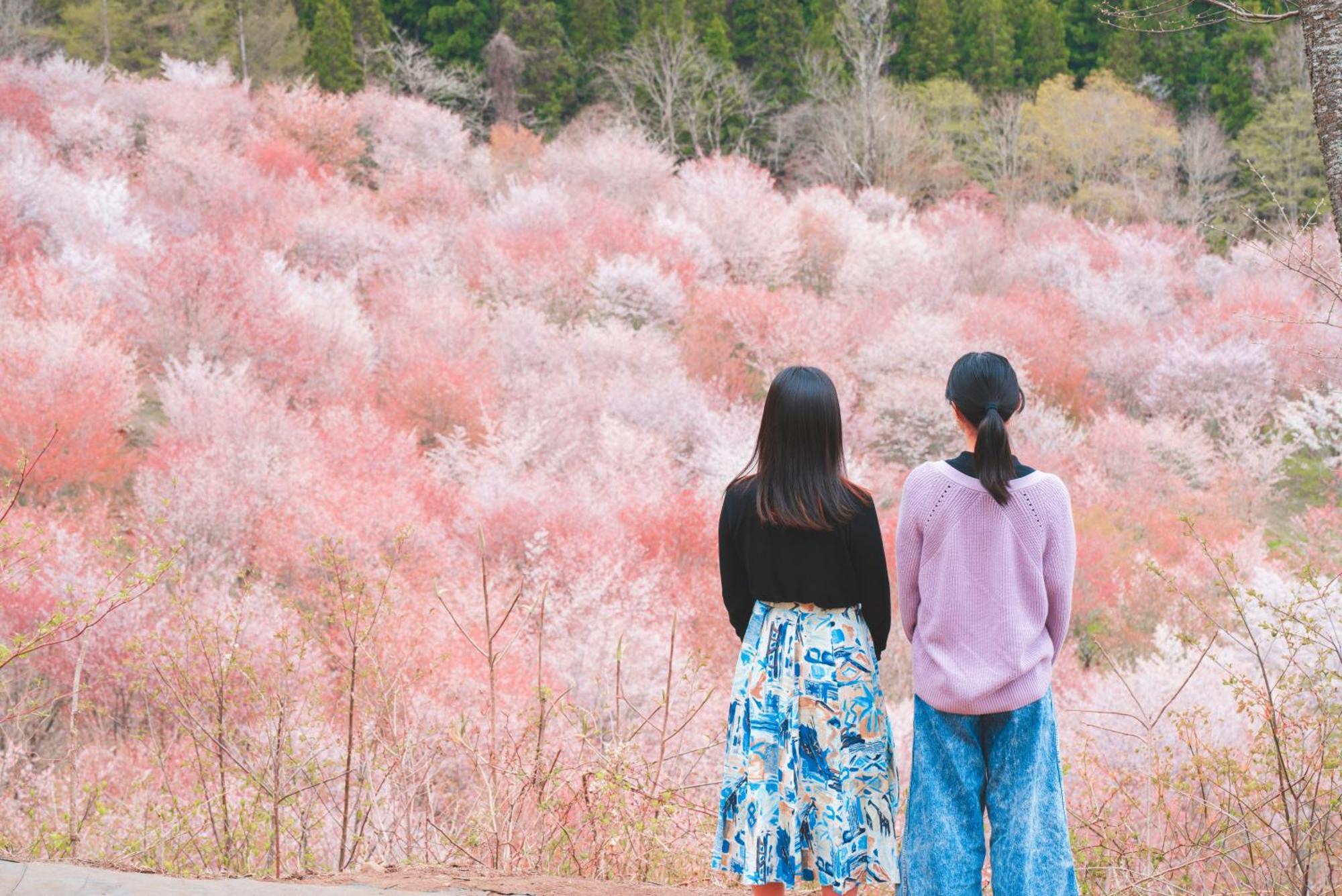 Urabandai Lake Resort Geihinkan Nekoma Rikyu Kitashiobara Eksteriør bilde