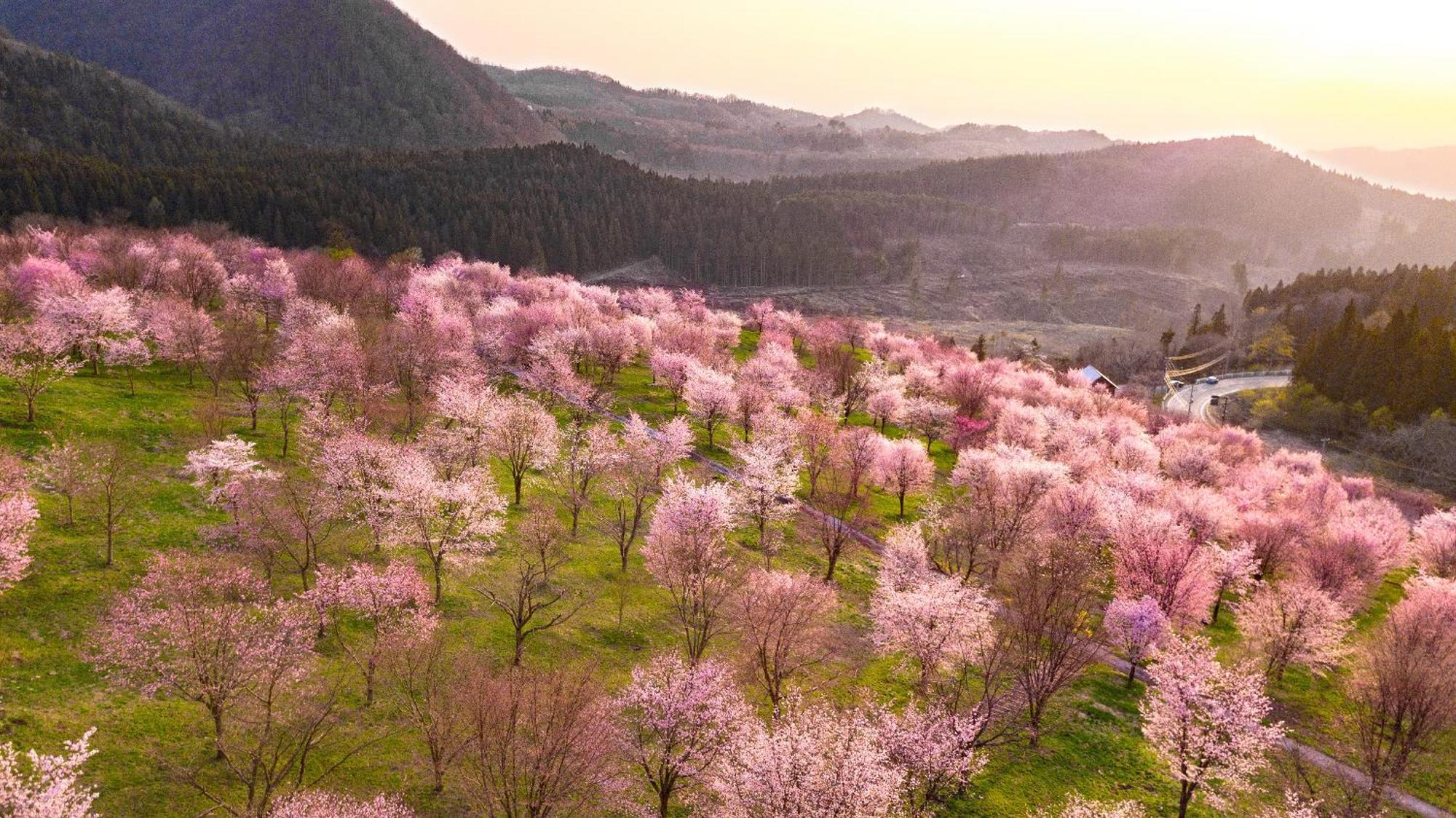 Urabandai Lake Resort Geihinkan Nekoma Rikyu Kitashiobara Eksteriør bilde